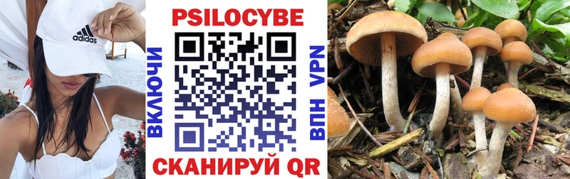наркошоп  Луза  Галлюциногенные грибы MAGIC MUSHROOMS 